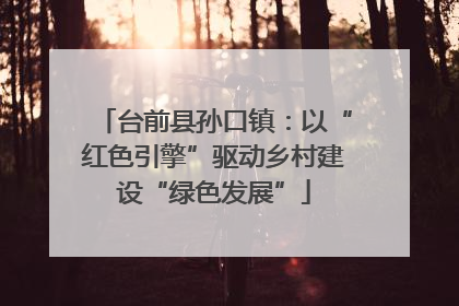 台前县孙口镇：以“红色引擎”驱动乡村建设“绿色发展”
