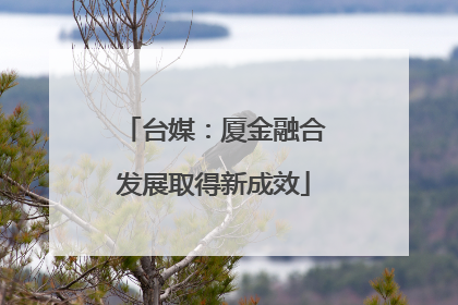 台媒：厦金融合发展取得新成效