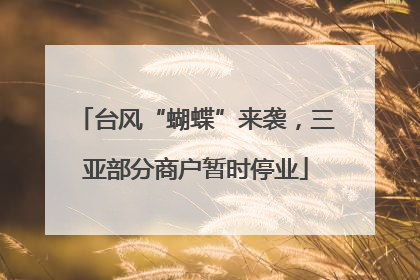 台风“蝴蝶”来袭，三亚部分商户暂时停业
