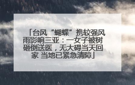 台风“蝴蝶”携较强风雨影响三亚：一女子被树砸倒送医，无大碍当天回家 当地已紧急清障