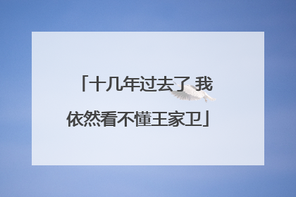 十几年过去了 我依然看不懂王家卫