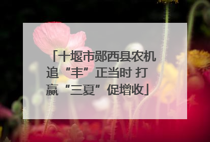 十堰市郧西县农机追“丰”正当时 打赢“三夏”促增收