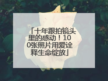 十年跟拍镜头里的感动！100张照片用爱诠释生命绽放