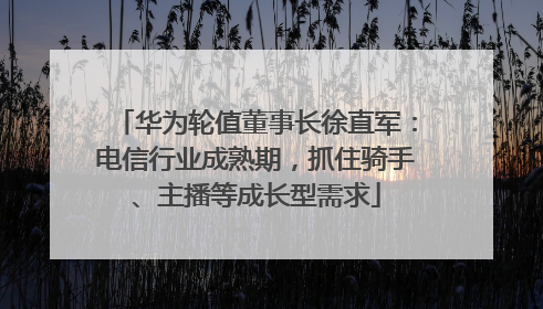 华为轮值董事长徐直军：电信行业成熟期，抓住骑手、主播等成长型需求