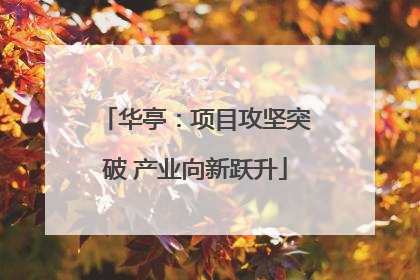 华亭：项目攻坚突破 产业向新跃升