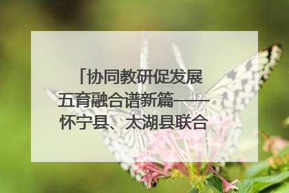 协同教研促发展 五育融合谱新篇——怀宁县、太湖县联合教研活动在月山镇中心学校成功举办