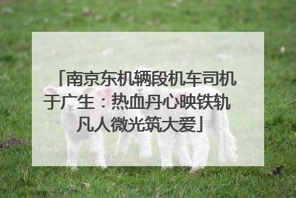 南京东机辆段机车司机于广生：热血丹心映铁轨 凡人微光筑大爱