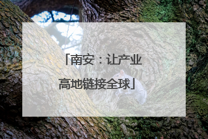 南安：让产业高地链接全球
