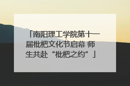 南阳理工学院第十一届枇杷文化节启幕 师生共赴“枇杷之约”