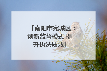 南阳市宛城区：创新监督模式 提升执法质效