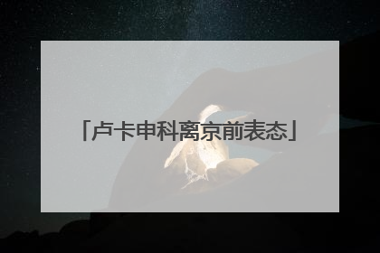 卢卡申科离京前表态