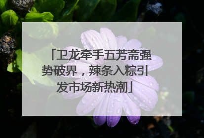 卫龙牵手五芳斋强势破界，辣条入粽引发市场新热潮