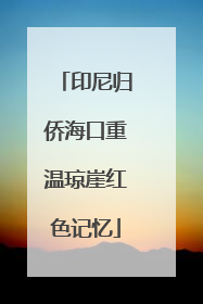 印尼归侨海口重温琼崖红色记忆