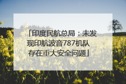 印度民航总局：未发现印航波音787机队存在重大安全问题