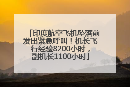 印度航空飞机坠落前发出紧急呼叫！机长飞行经验8200小时，副机长1100小时