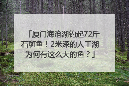 厦门海沧湖钓起72斤石斑鱼！2米深的人工湖为何有这么大的鱼？