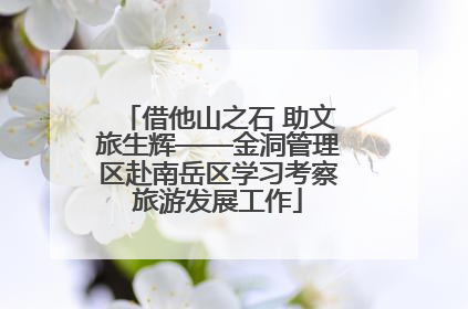 借他山之石 助文旅生辉——金洞管理区赴南岳区学习考察旅游发展工作