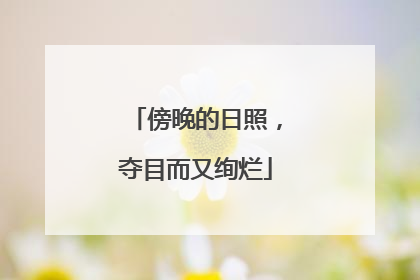 傍晚的日照，夺目而又绚烂