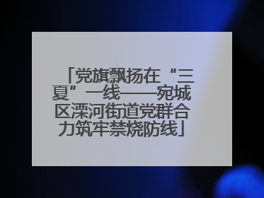 党旗飘扬在“三夏”一线——宛城区溧河街道党群合力筑牢禁烧防线