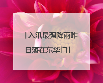 入汛最强降雨昨日落在东华门