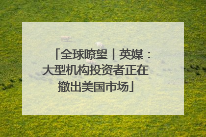 全球瞭望丨英媒：大型机构投资者正在撤出美国市场