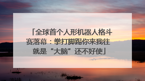 全球首个人形机器人格斗赛落幕：拳打脚踢你来我往 就是“大脑”还不好使