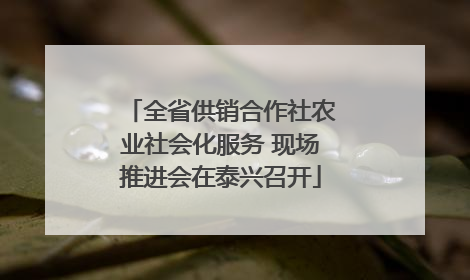 全省供销合作社农业社会化服务 现场推进会在泰兴召开