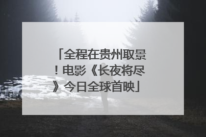 全程在贵州取景！电影《长夜将尽》今日全球首映