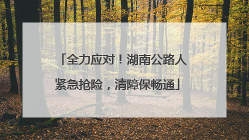 全力应对！湖南公路人紧急抢险，清障保畅通