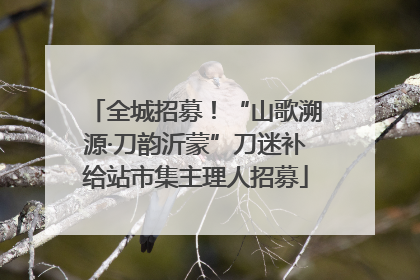 全城招募！“山歌溯源·刀韵沂蒙”刀迷补给站市集主理人招募