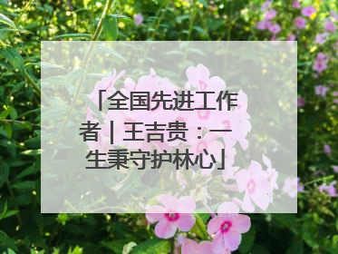 全国先进工作者｜王吉贵：一生秉守护林心