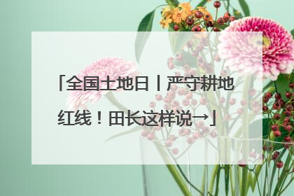 全国土地日丨严守耕地红线！田长这样说→