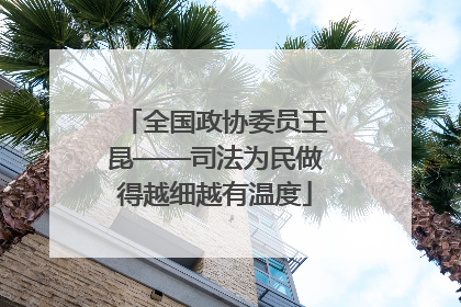 全国政协委员王昆——司法为民做得越细越有温度