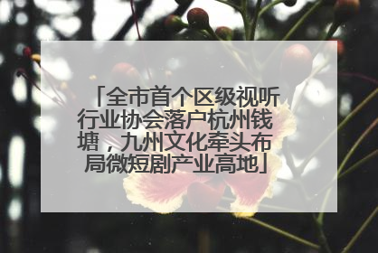全市首个区级视听行业协会落户杭州钱塘，九州文化牵头布局微短剧产业高地