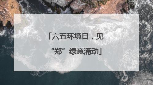 六五环境日，见“郑”绿意涌动
