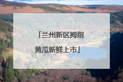 兰州新区拇指黄瓜新鲜上市