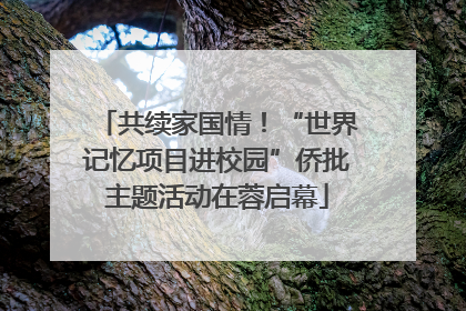 共续家国情！“世界记忆项目进校园”侨批主题活动在蓉启幕