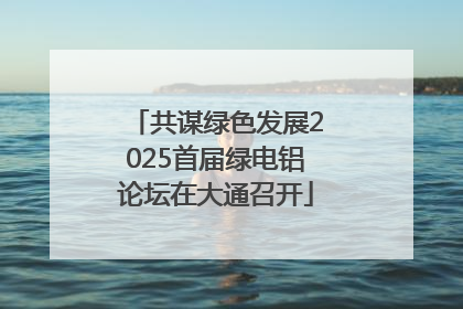 共谋绿色发展2025首届绿电铝论坛在大通召开