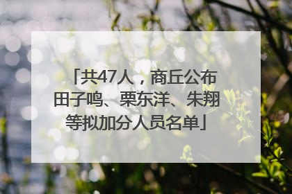 共47人，商丘公布田子鸣、栗东洋、朱翔等拟加分人员名单