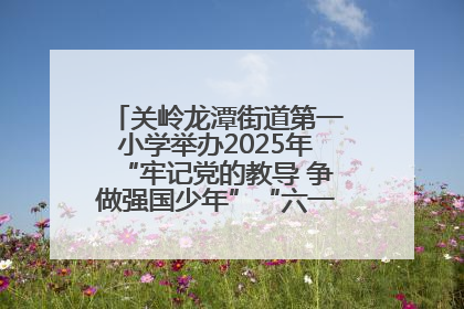 关岭龙潭街道第一小学举办2025年“牢记党的教导 争做强国少年”“六一”文艺汇演活动
