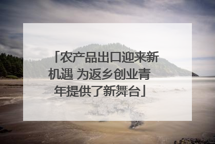 农产品出口迎来新机遇 为返乡创业青年提供了新舞台