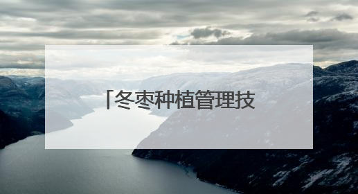 冬枣种植管理技术培训到地头