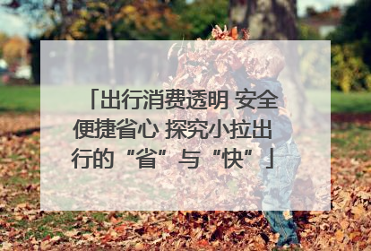 出行消费透明 安全便捷省心 探究小拉出行的“省”与“快”