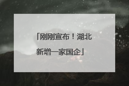 刚刚宣布！湖北新增一家国企