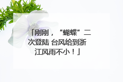 刚刚，“蝴蝶”二次登陆 台风给到浙江风雨不小！