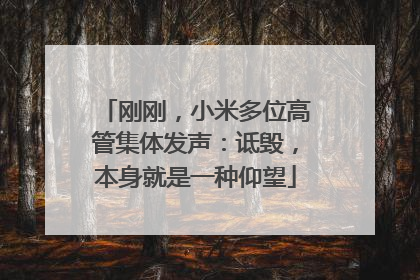 刚刚，小米多位高管集体发声：诋毁，本身就是一种仰望