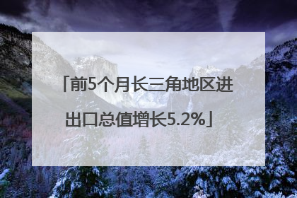 前5个月长三角地区进出口总值增长5.2%