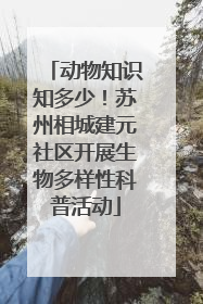 动物知识知多少！苏州相城建元社区开展生物多样性科普活动