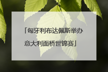 匈牙利布达佩斯举办意大利面桥世锦赛