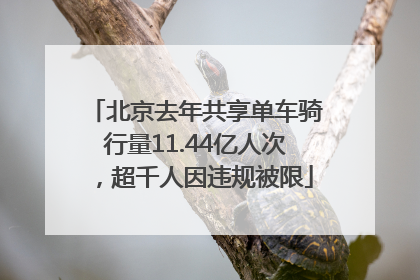北京去年共享单车骑行量11.44亿人次，超千人因违规被限